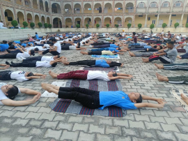 Click here to Enlarge